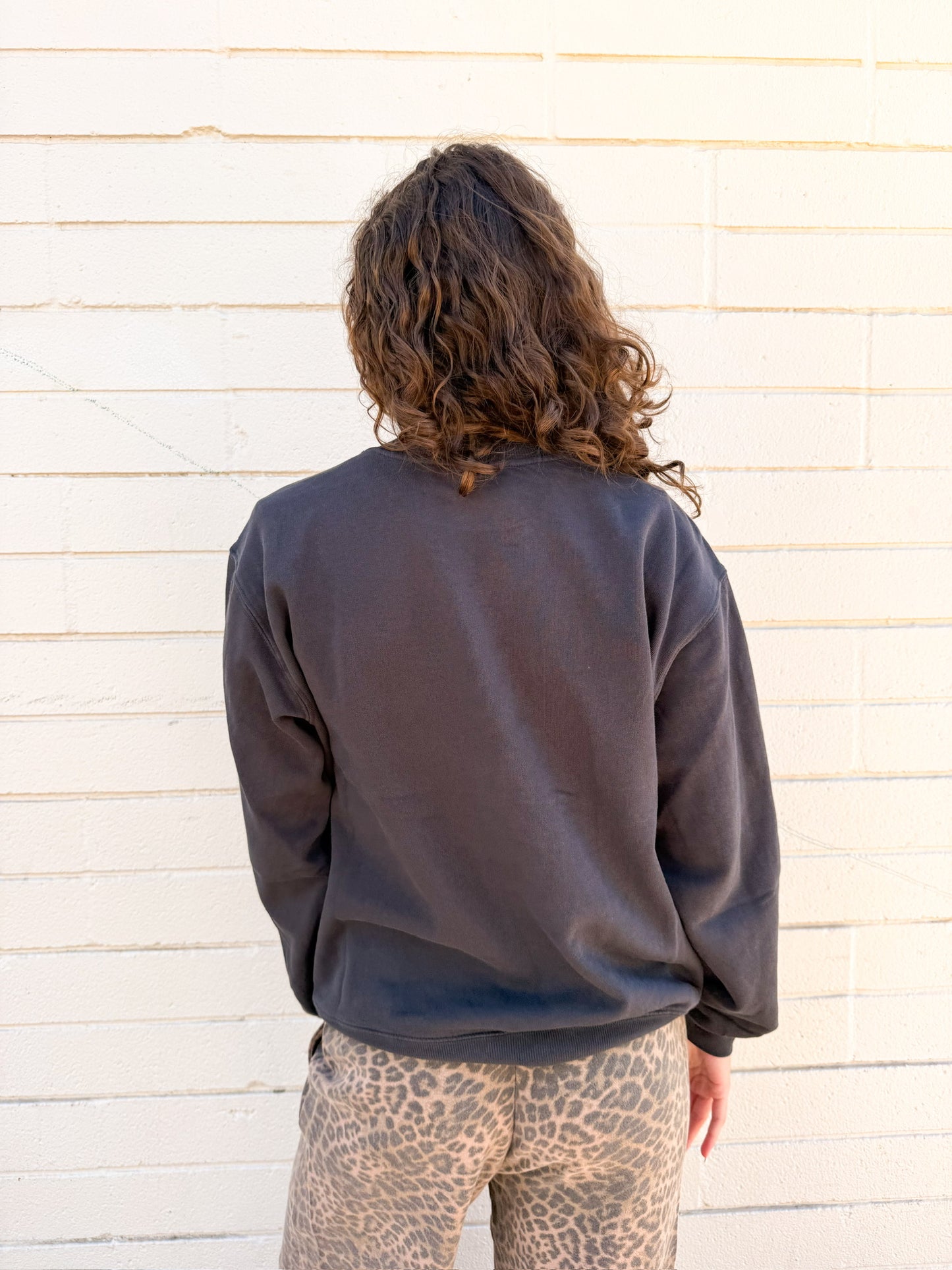 Z Supply La Playa Boyfriend Sweatshirt